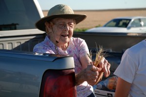 'Wheat as thick as the hair on a dog's back'