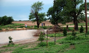 checking out the new front pond