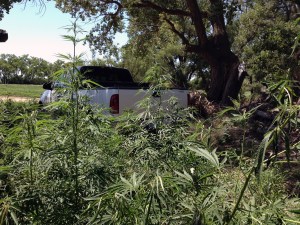 Parking among memories