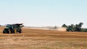 Bruce & John cutting across from Grandma's