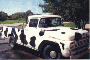 holstein design from the Web