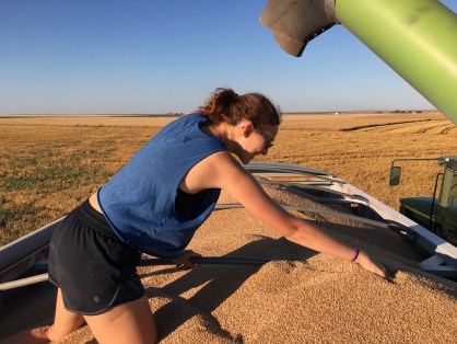 Hilary helping spread out wheat_1
