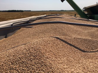 On top of the wheat semi