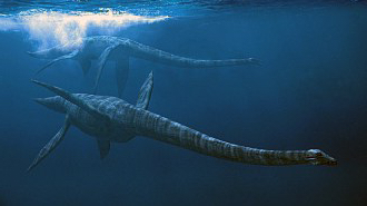 Plesiosaurs
