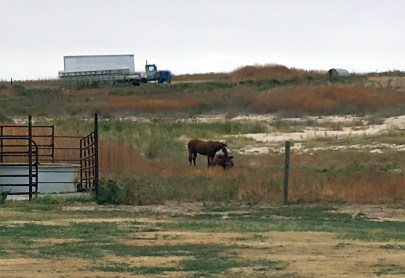 Shockney &amp; Norman