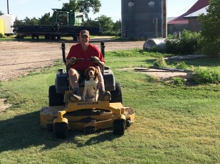 Stache directing the mowing